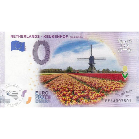 NL - Netherlands - Keukenhof- tulip fields - 2019
