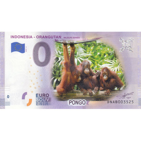 ID - Indonesia - Orangutan - 2019